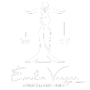 Logo avocat à Paris 16, Maître Vergne